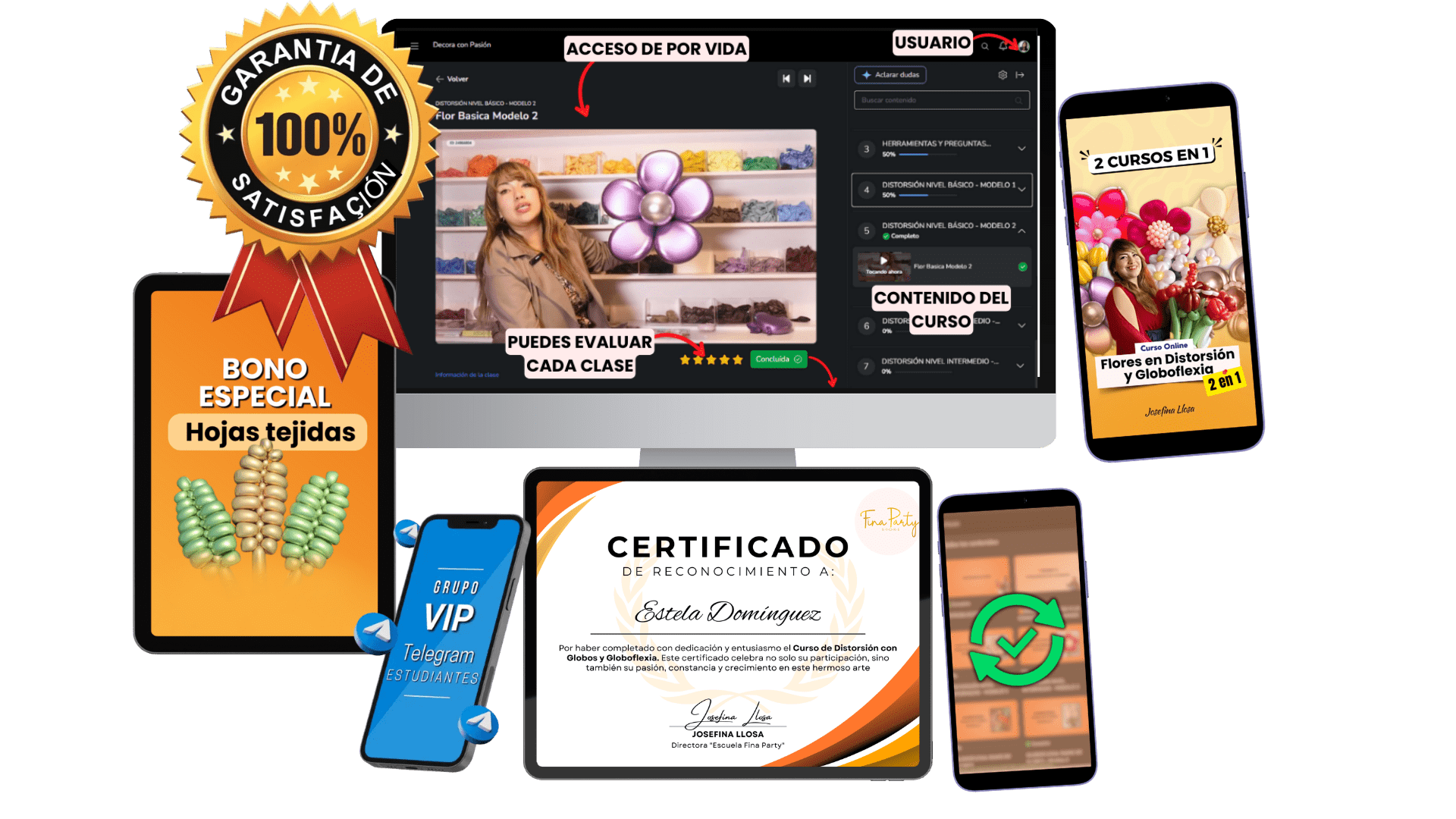 Bonos del curso Flores en Distorsión y Globoflexia: acceso, tutora y grupo VIP